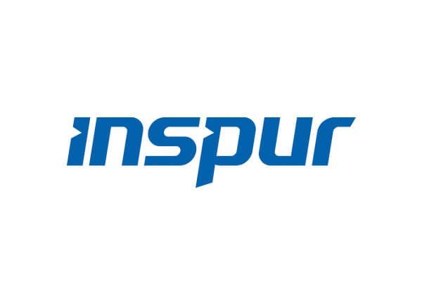 Inspur Logo